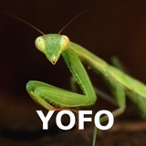 yofo