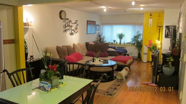 $ / 2br - 862ft² - beautiful 2 bedroom 2 bath condo, prime location, excellent c thumbnail 2