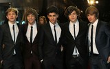 One Direction survey