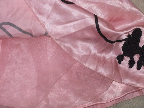 poodle skirt dress up / halloween - $10 thumbnail 2