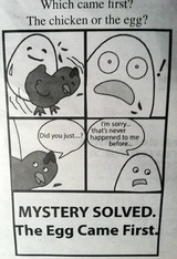 chicken or the egg