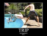 trip