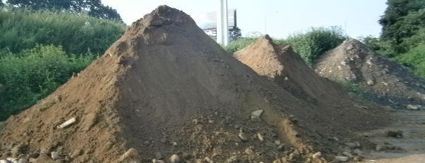 fill - $1 thumbnail 2