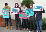 One Direction Survey