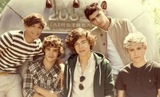 One Direction Survey!