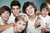 One Direction Survey?