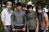 ONE DIRECTION survey