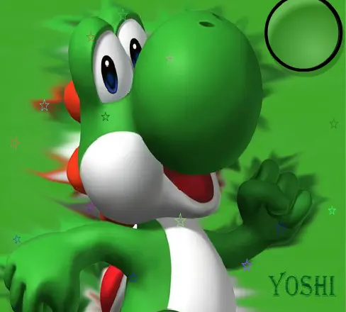 Yoshi Hidden Stars Puzzle