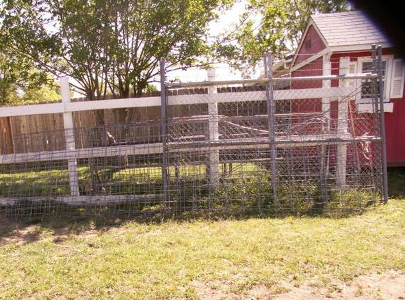 used cattle fenceing anels - $15 thumbnail 2