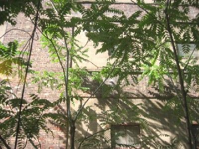 $169 elegant apartment at times square thumbnail 4