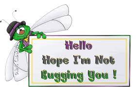 What is bugging you?