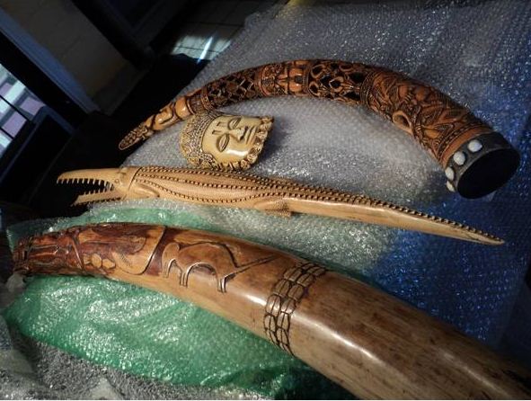 unique ivory tusks, ivory mask, ivory alligator--pre-ban!!! - $8,500 thumbnail 2