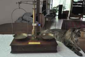 german pharmacist's balance c 1880 - $525 thumbnail 2