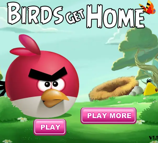 Angry Birds Get Home
